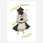 Hedgehog Graduation card
